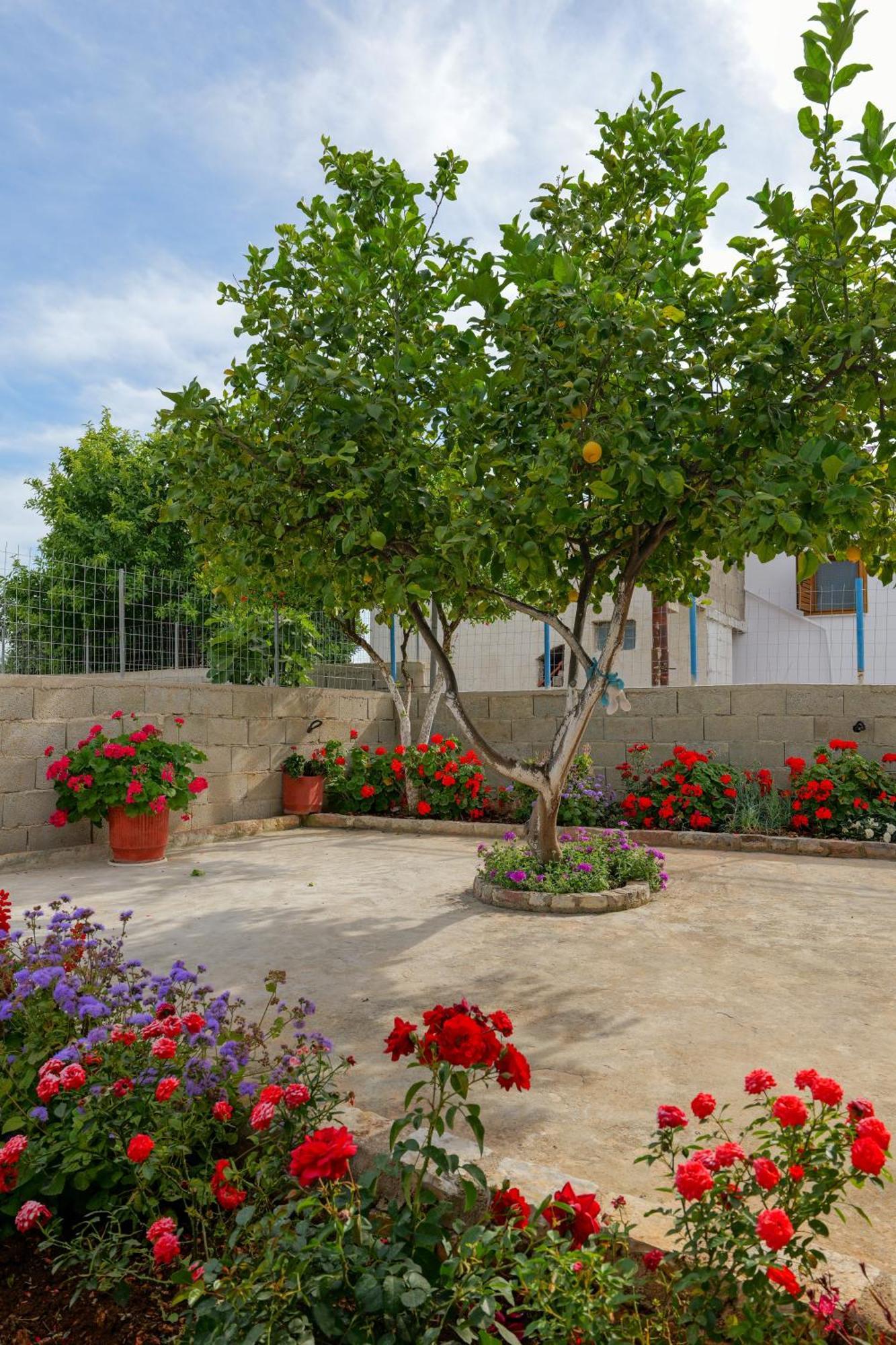 Brahimi Guest House Ksamil Extérieur photo